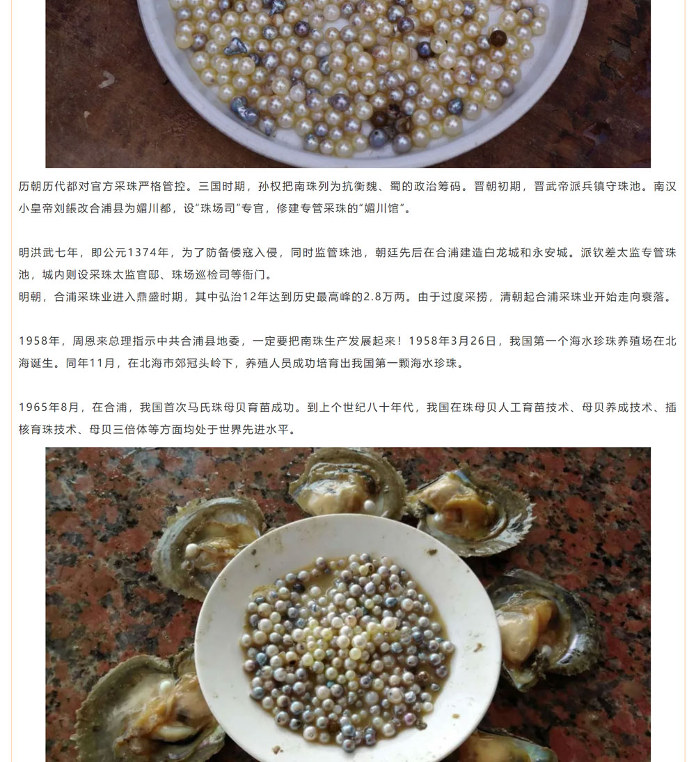 古老南珠，綻放異彩