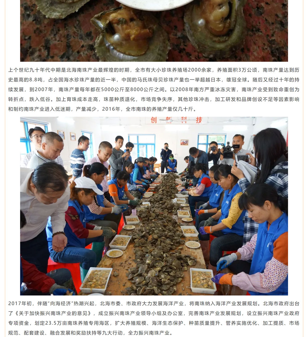 古老南珠，綻放異彩